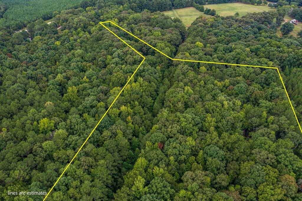 24 Fire Tower Road Abbeville, SC 29620 - Photo 6 of 10 Gallery Image 6