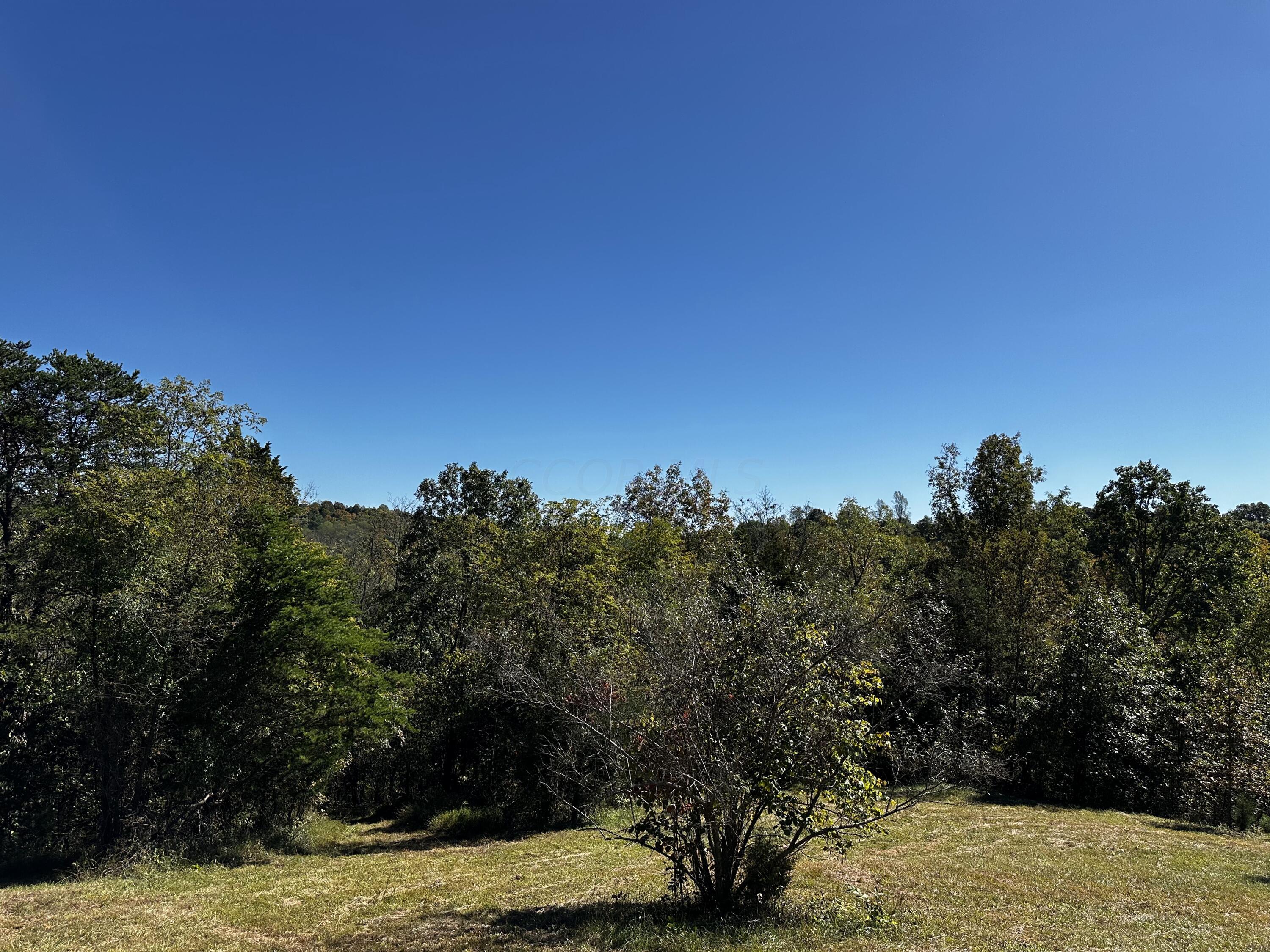 865 Hull Road, Unit TRACT 13 WOODS WAYNE FOREST) Patriot, OH 45658 - Photo 41 of 57 20241008_175601378_iOS