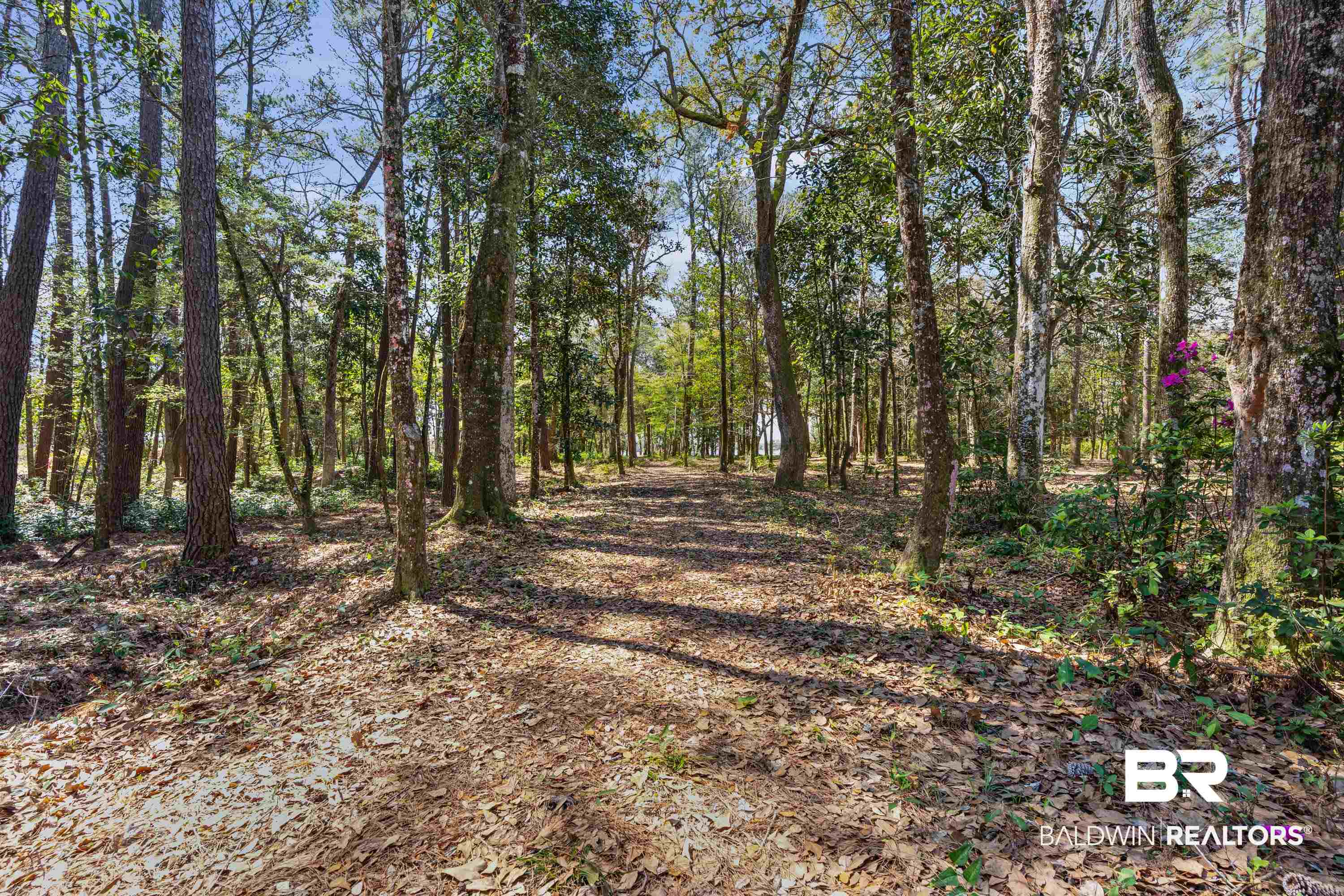 Forrest Street Mobile, AL 36605 - Photo 13 of 19