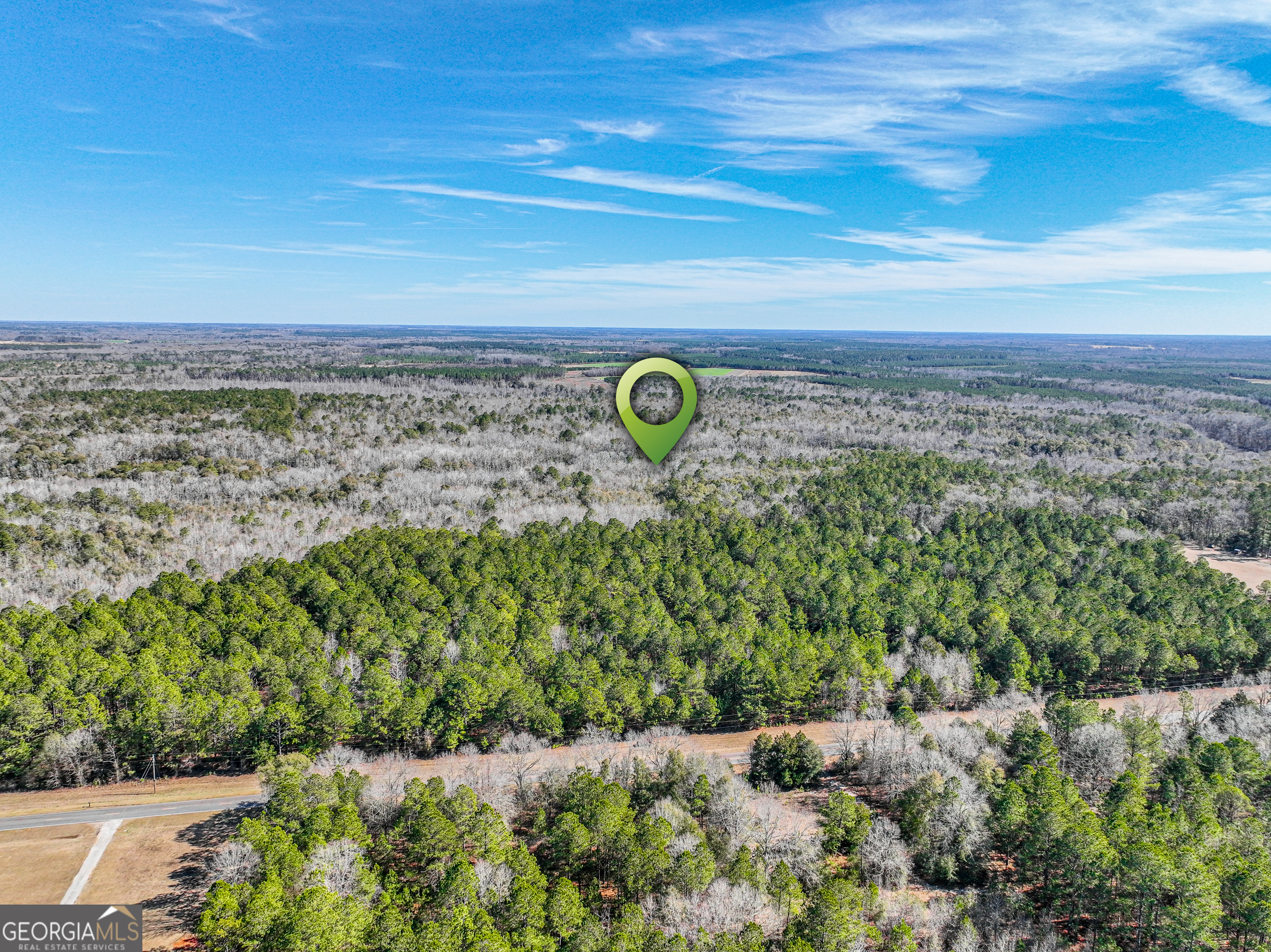 0 Buckeye Road Tennille, GA 31089 - Photo 1 of 13