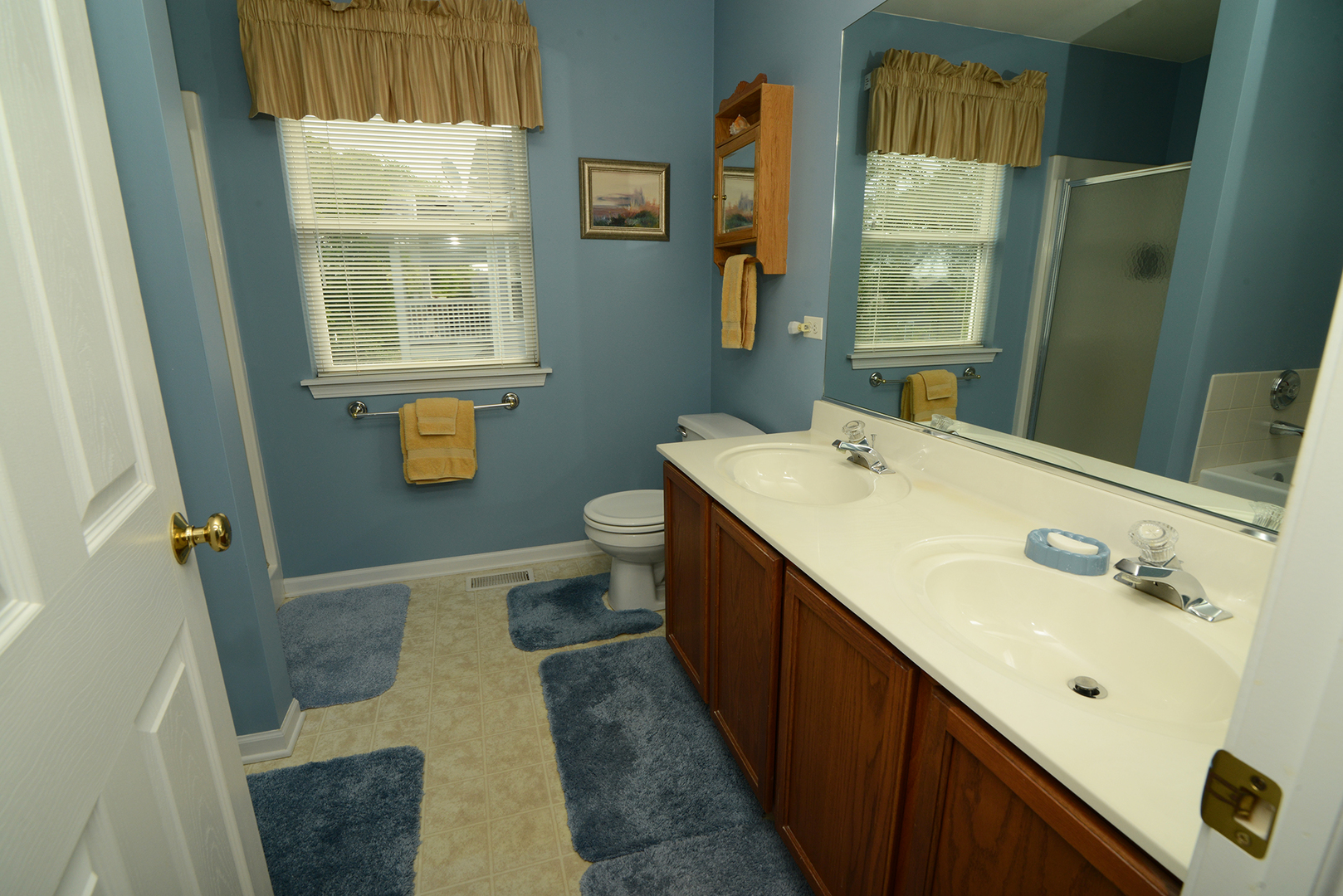 285 Ridge Road North Aurora, IL 60542 - Photo 14 of 24 a bathroom with a sink a toilet and shower