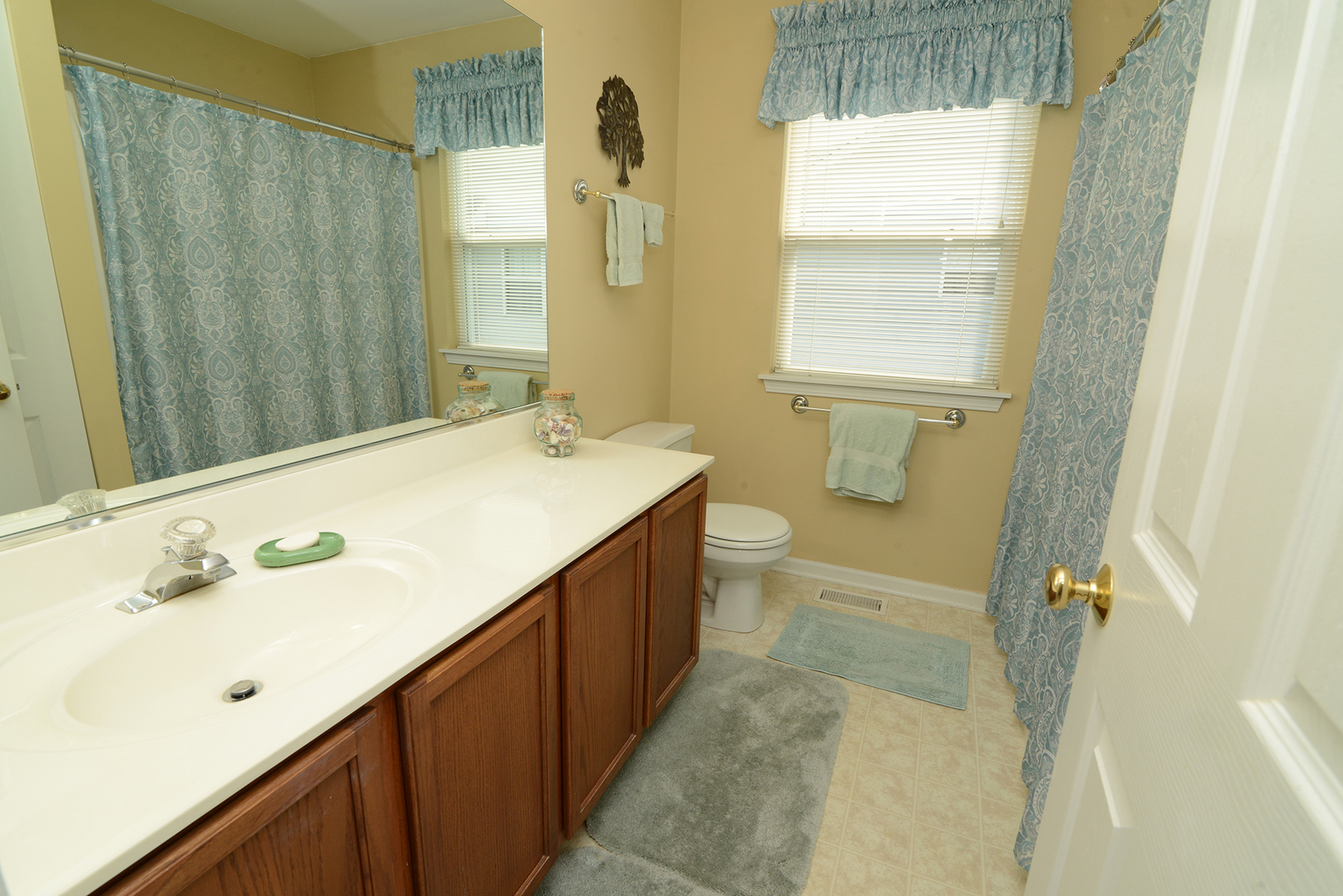 285 Ridge Road North Aurora, IL 60542 - Photo 18 of 24 a bathroom with a double vanity sink toilet a mirror and shower