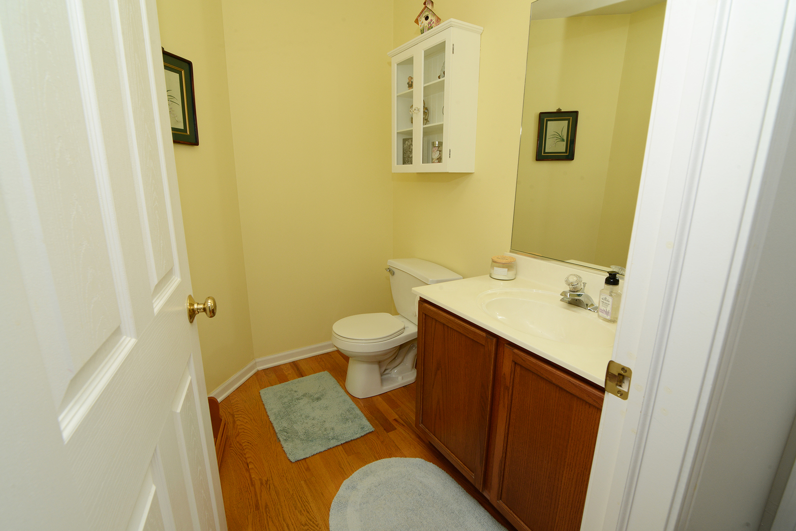 285 Ridge Road North Aurora, IL 60542 - Photo 10 of 24 a bathroom with a sink and a mirror