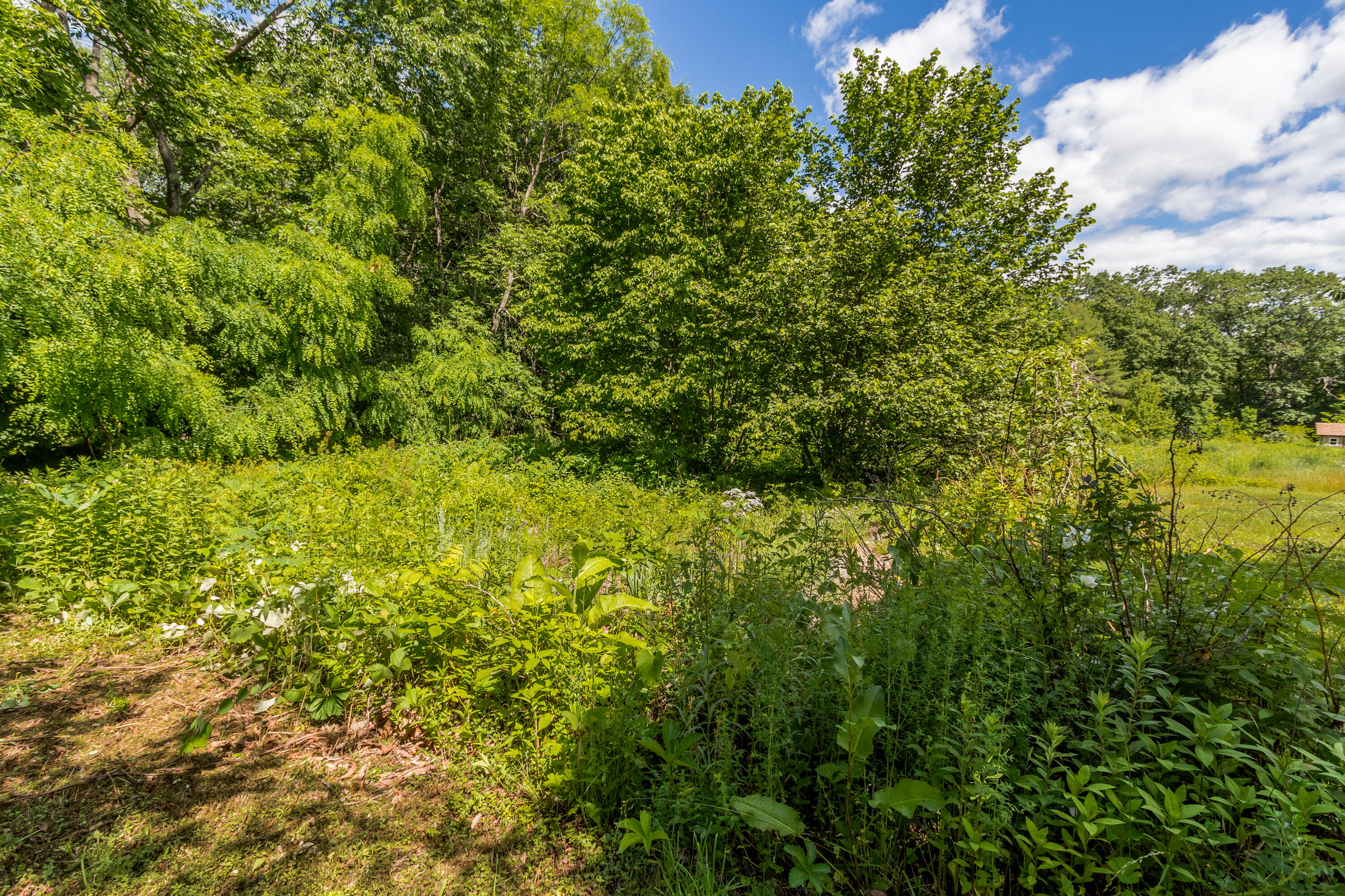 30 Pine Hill Road Limington, ME 04049 - Photo 56 of 61 20210623BH-51089