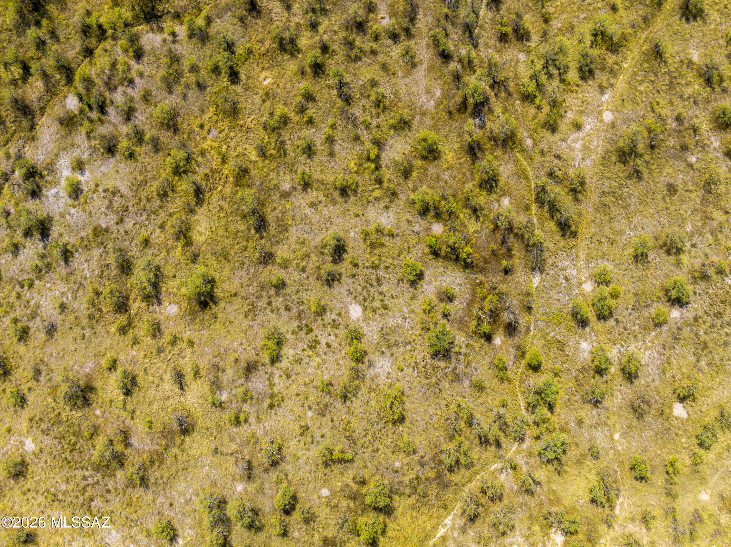 14735 West Jalisco Road Arivaca, AZ 85601 - Photo 4 of 10
