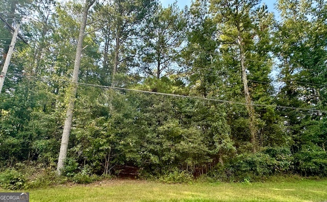 a view of a yard