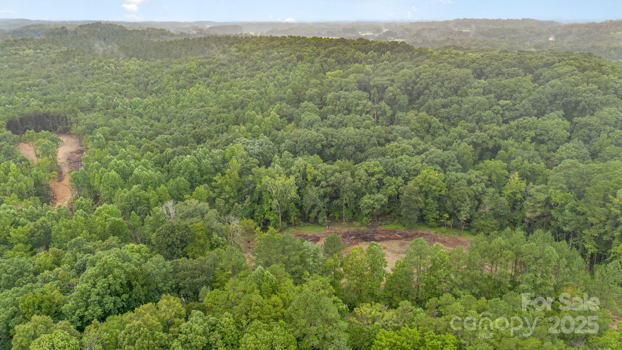 0 Stony Gap Road Albemarle, NC 28001 - Photo 2 of 4 a view of a lush green forest with a mountain