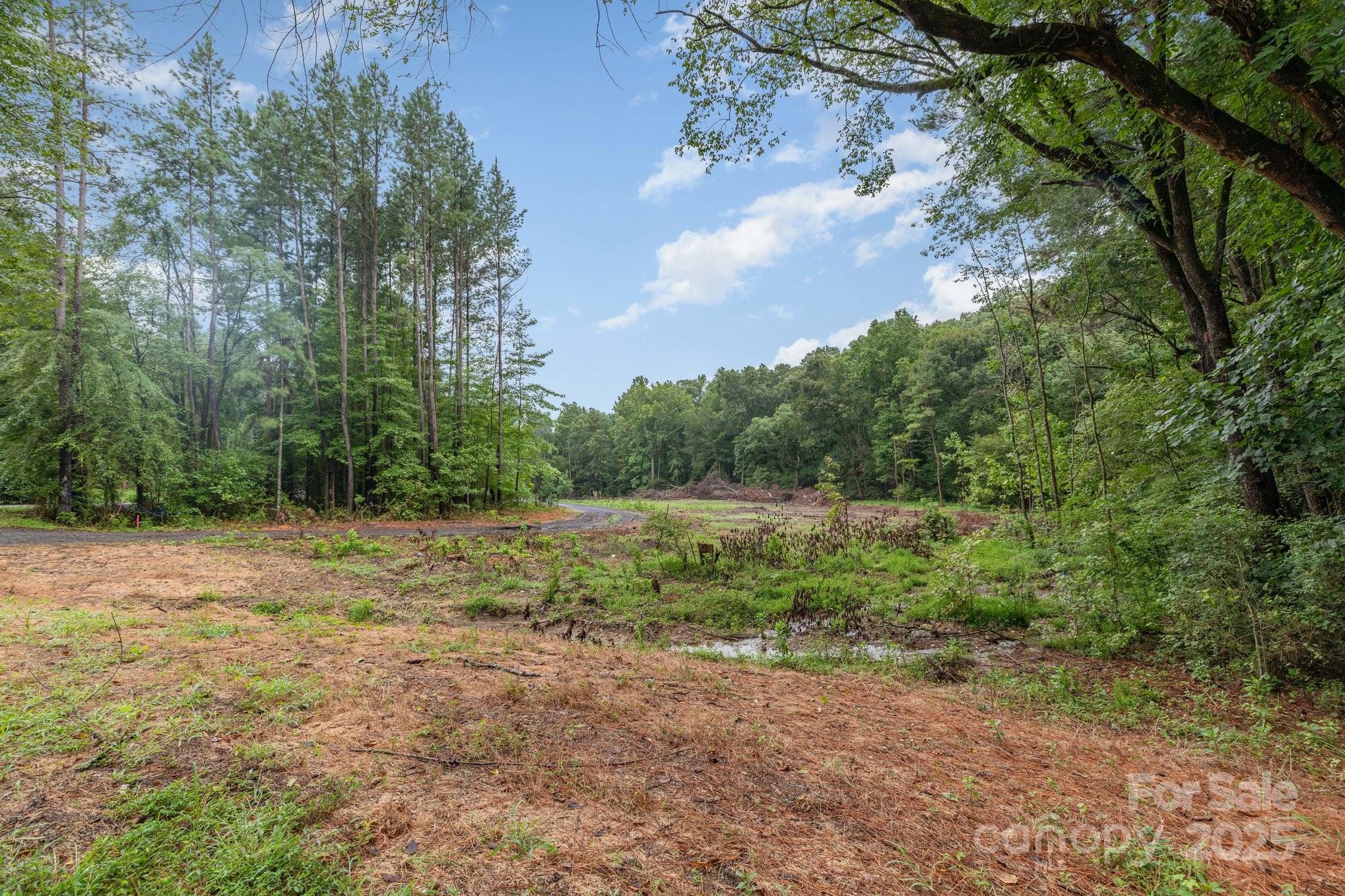 0 Stony Gap Road Albemarle, NC 28001 - Photo 3 of 4 a view of yard with green space