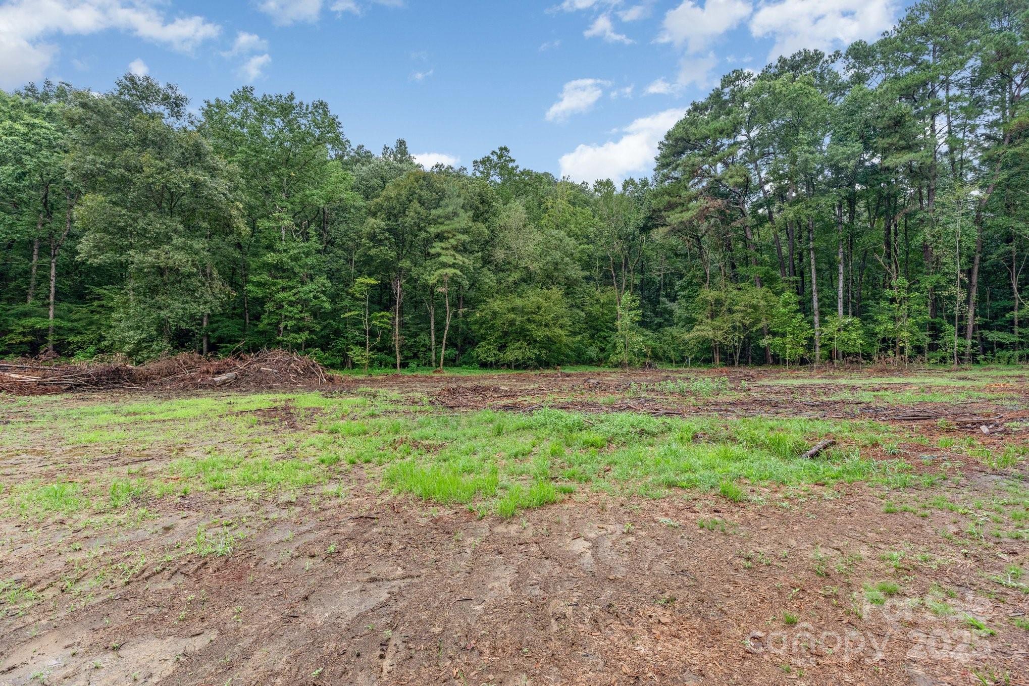 0 Stony Gap Road Albemarle, NC 28001 - Photo 4 of 4 a view of backyard with green space