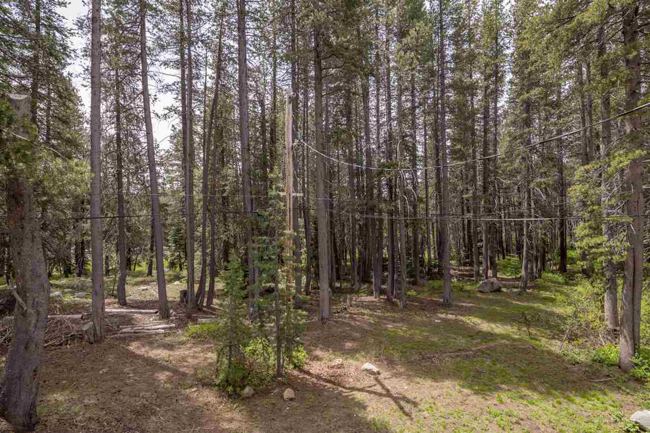 21245 Donner Pass Road Soda Springs, CA 95728 - Photo 12 of 13 Gallery Image 12