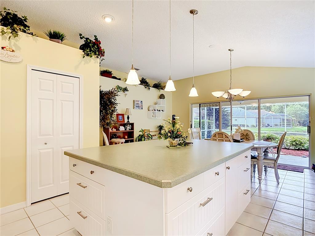 7828 Craighurst Loop New Port Richey, FL 34655 - Photo 11 of 57