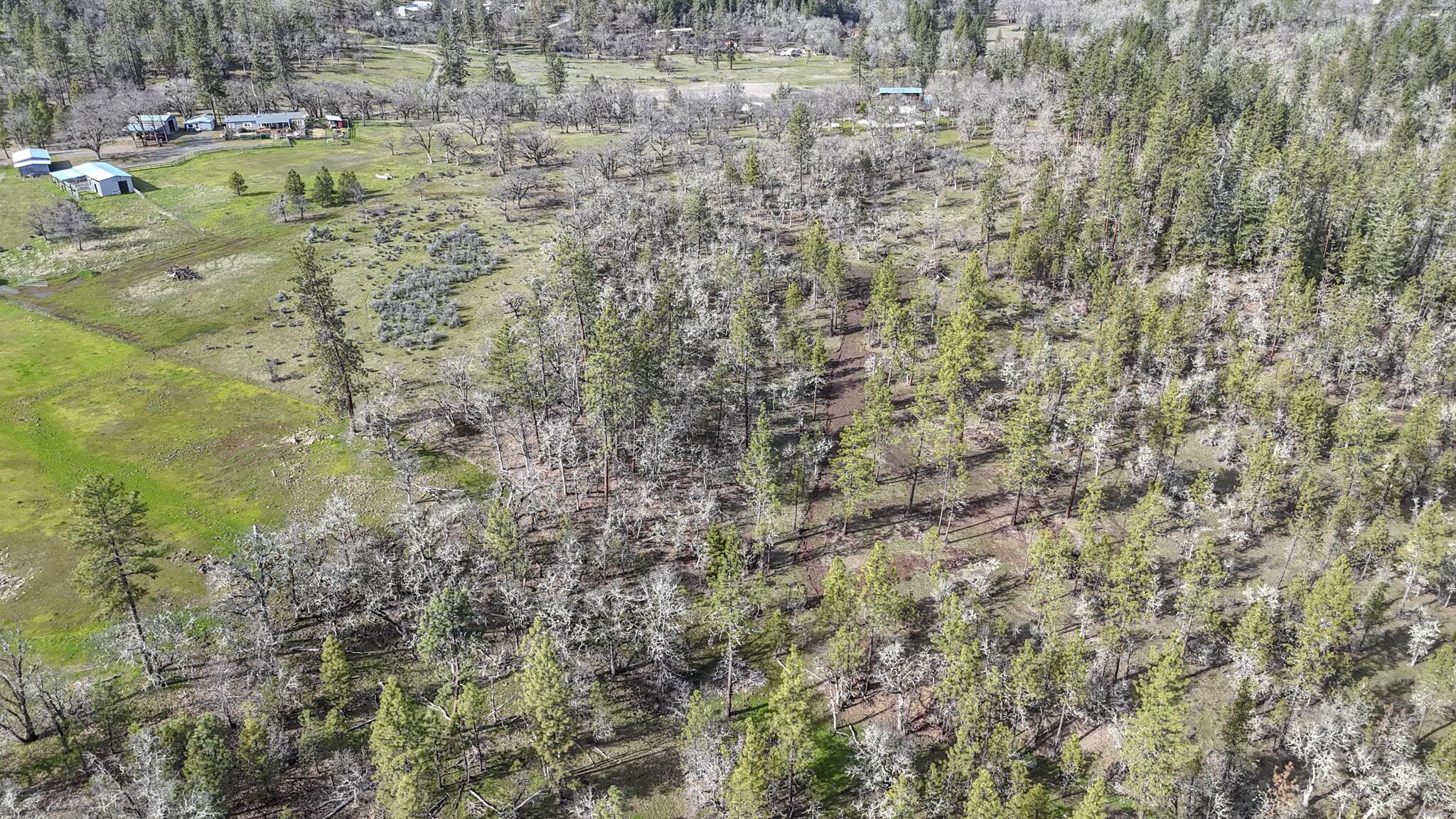 506 Greenleaf Drive Eagle Point, OR 97524 - Photo 20 of 38 DJI_20260227140332_0538_D
