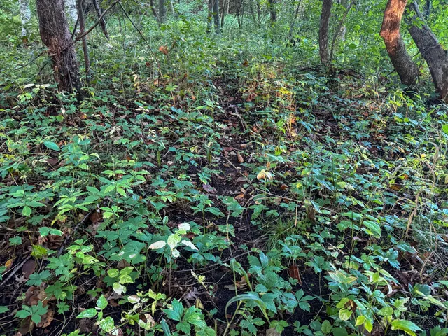 $115,000 | Tbd 230th Street, Baldwin, WI 54002