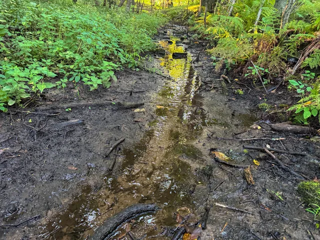 $115,000 | Tbd 230th Street, Baldwin, WI 54002