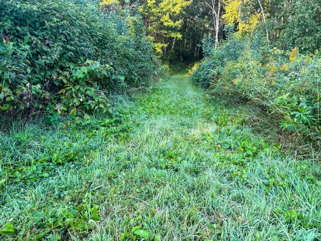 $115,000 | Tbd 230th Street, Baldwin, WI 54002