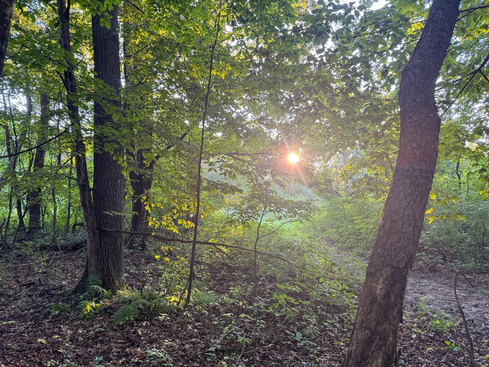 Tbd 230th Street Baldwin, WI 54002 - Photo 15 of 35