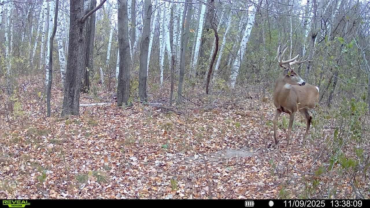 Tbd 230th Street Baldwin, WI 54002 - Photo 16 of 35