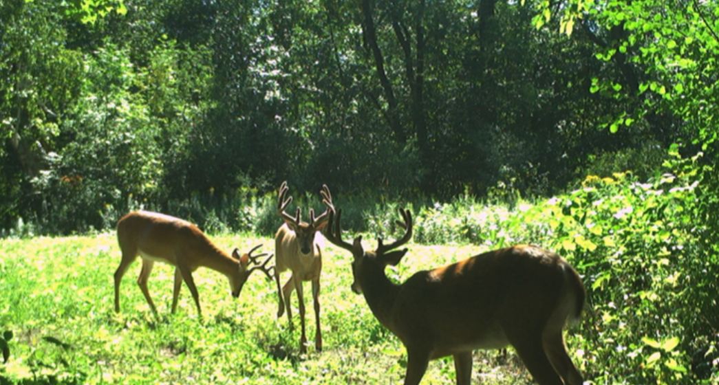 Tbd 230th Street Baldwin, WI 54002 - Photo 17 of 35