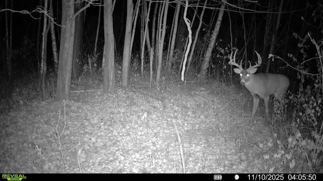 $115,000 | Tbd 230th Street, Baldwin, WI 54002