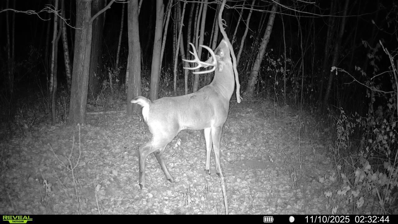 Tbd 230th Street Baldwin, WI 54002 - Photo 20 of 35