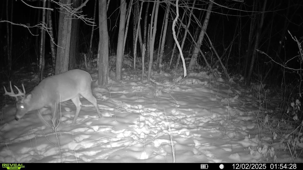 Tbd 230th Street Baldwin, WI 54002 - Photo 21 of 35