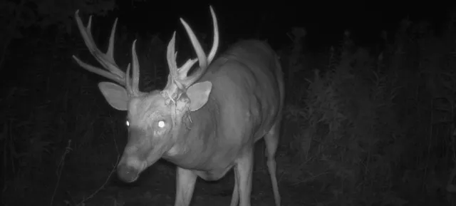 $115,000 | Tbd 230th Street, Baldwin, WI 54002