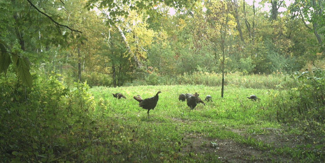 Tbd 230th Street Baldwin, WI 54002 - Photo 23 of 35