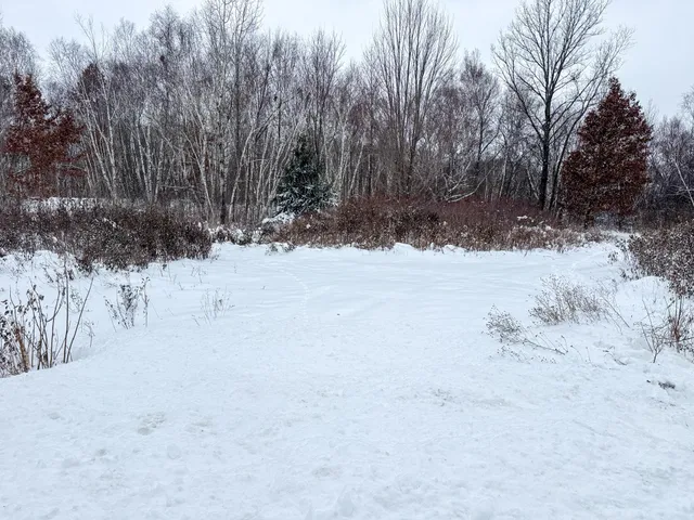 $115,000 | Tbd 230th Street, Baldwin, WI 54002