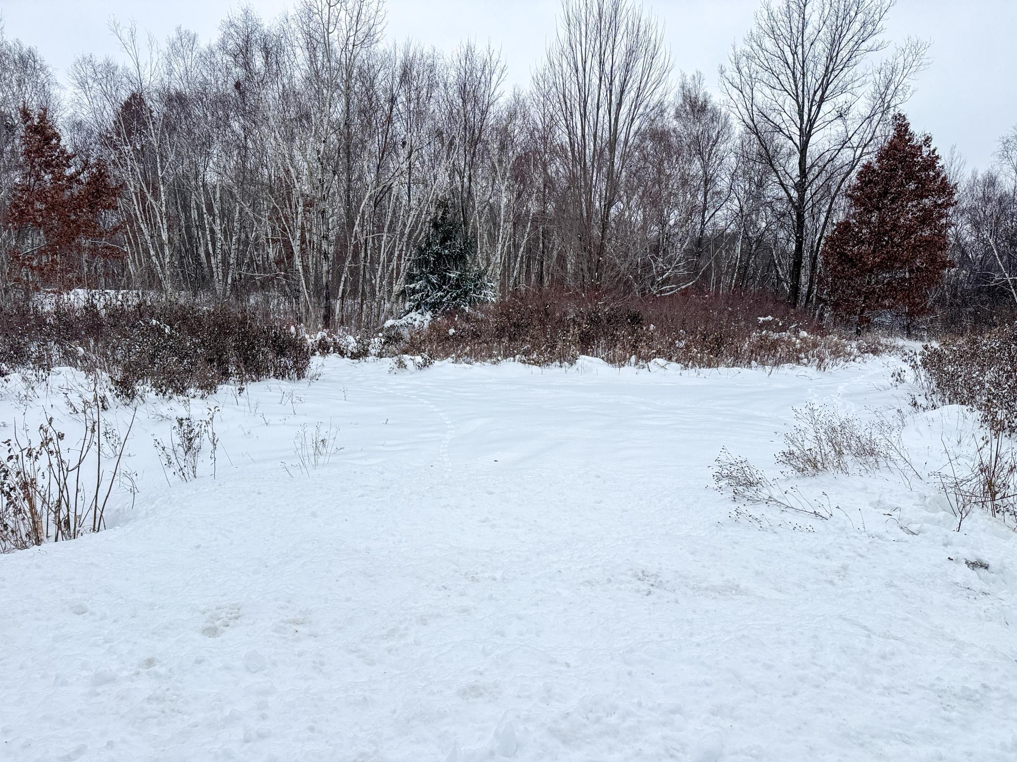 Tbd 230th Street Baldwin, WI 54002 - Photo 28 of 35