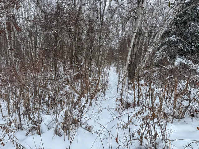 $115,000 | Tbd 230th Street, Baldwin, WI 54002