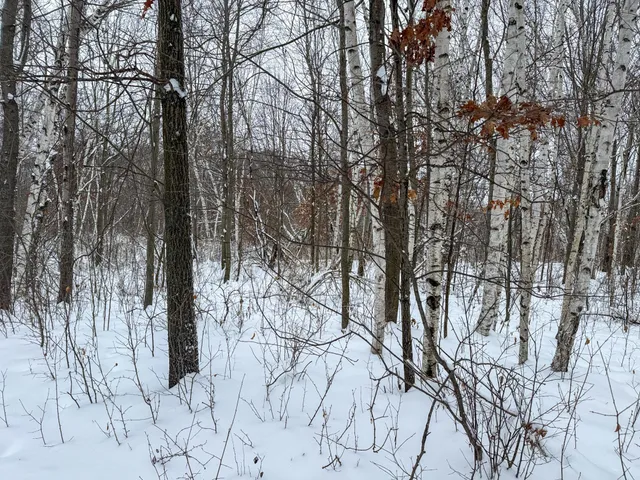 $115,000 | Tbd 230th Street, Baldwin, WI 54002