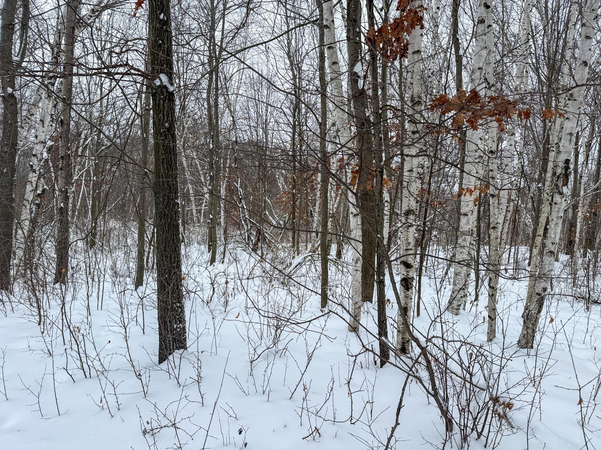 Tbd 230th Street Baldwin, WI 54002 - Photo 30 of 35