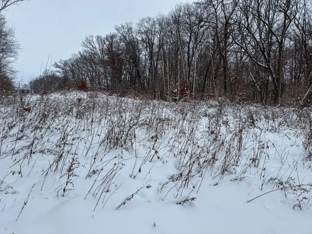 $115,000 | Tbd 230th Street, Baldwin, WI 54002