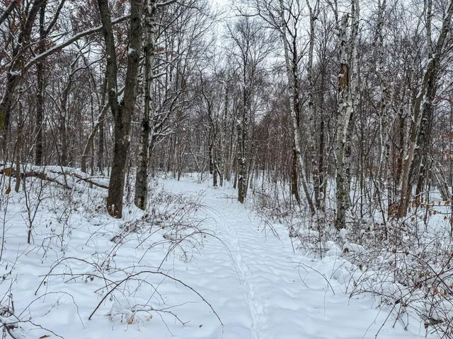 $115,000 | Tbd 230th Street, Baldwin, WI 54002