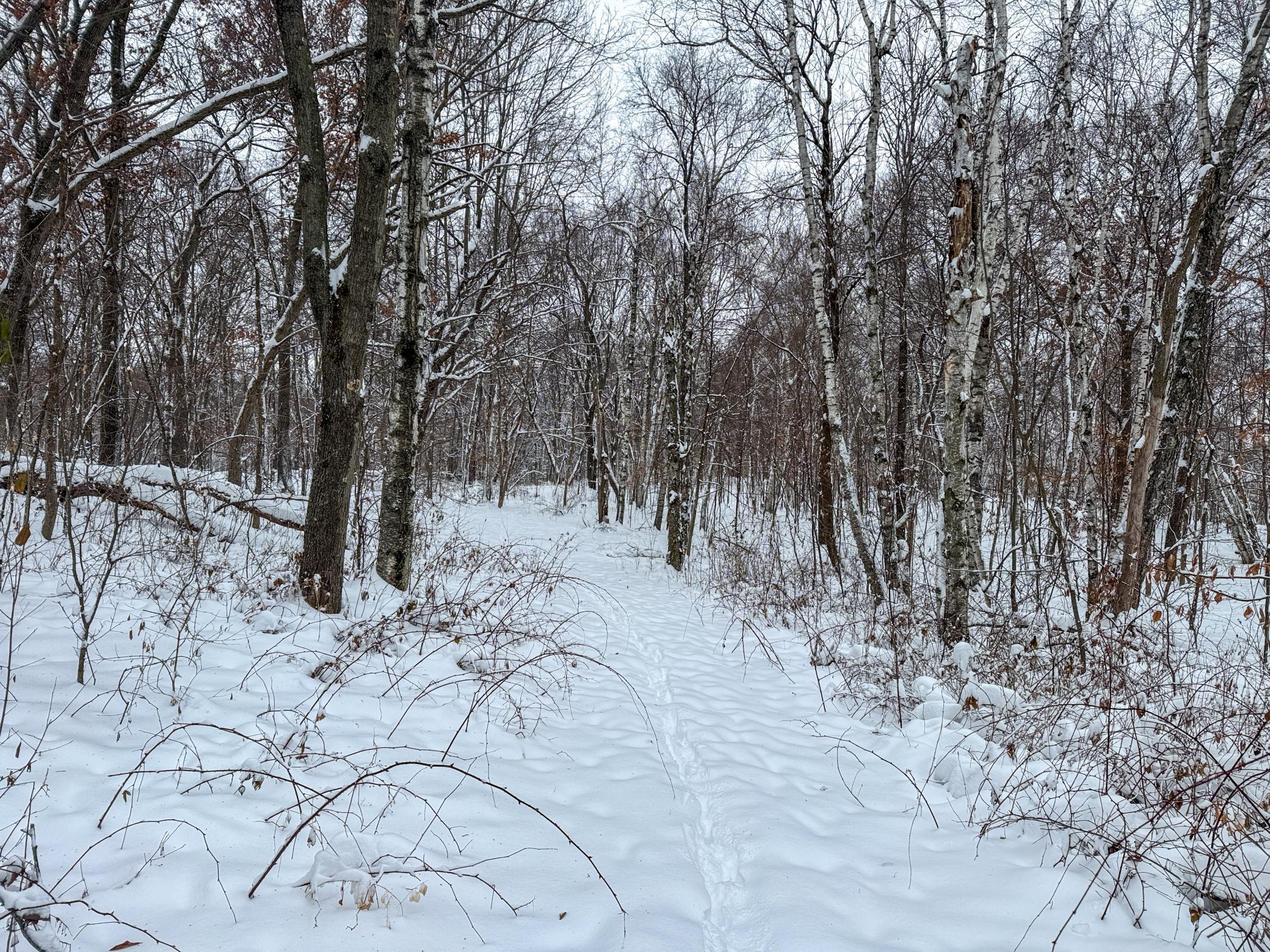 Tbd 230th Street Baldwin, WI 54002 - Photo 32 of 35