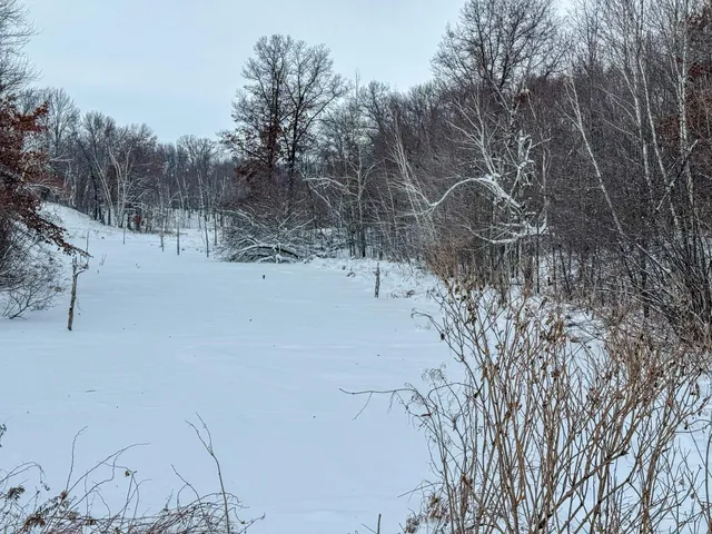 $115,000 | Tbd 230th Street, Baldwin, WI 54002