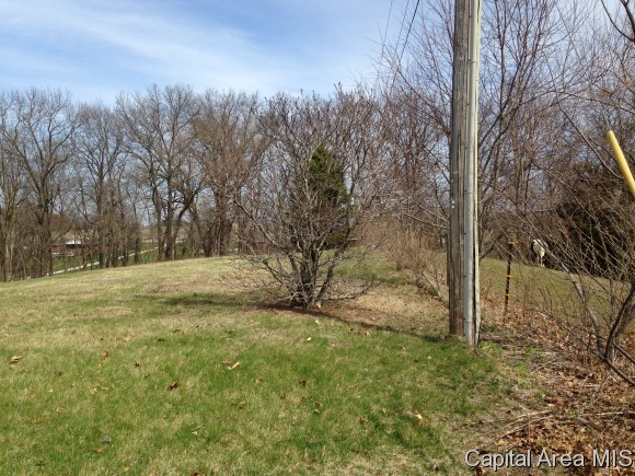 4602 Spaulding Orchard Road Springfield, IL 62711 - Photo 8 of 11