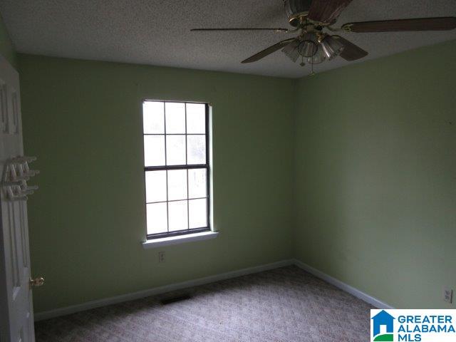 250 Birch Tree Road Hayden, AL 35079 - Photo 21 of 25