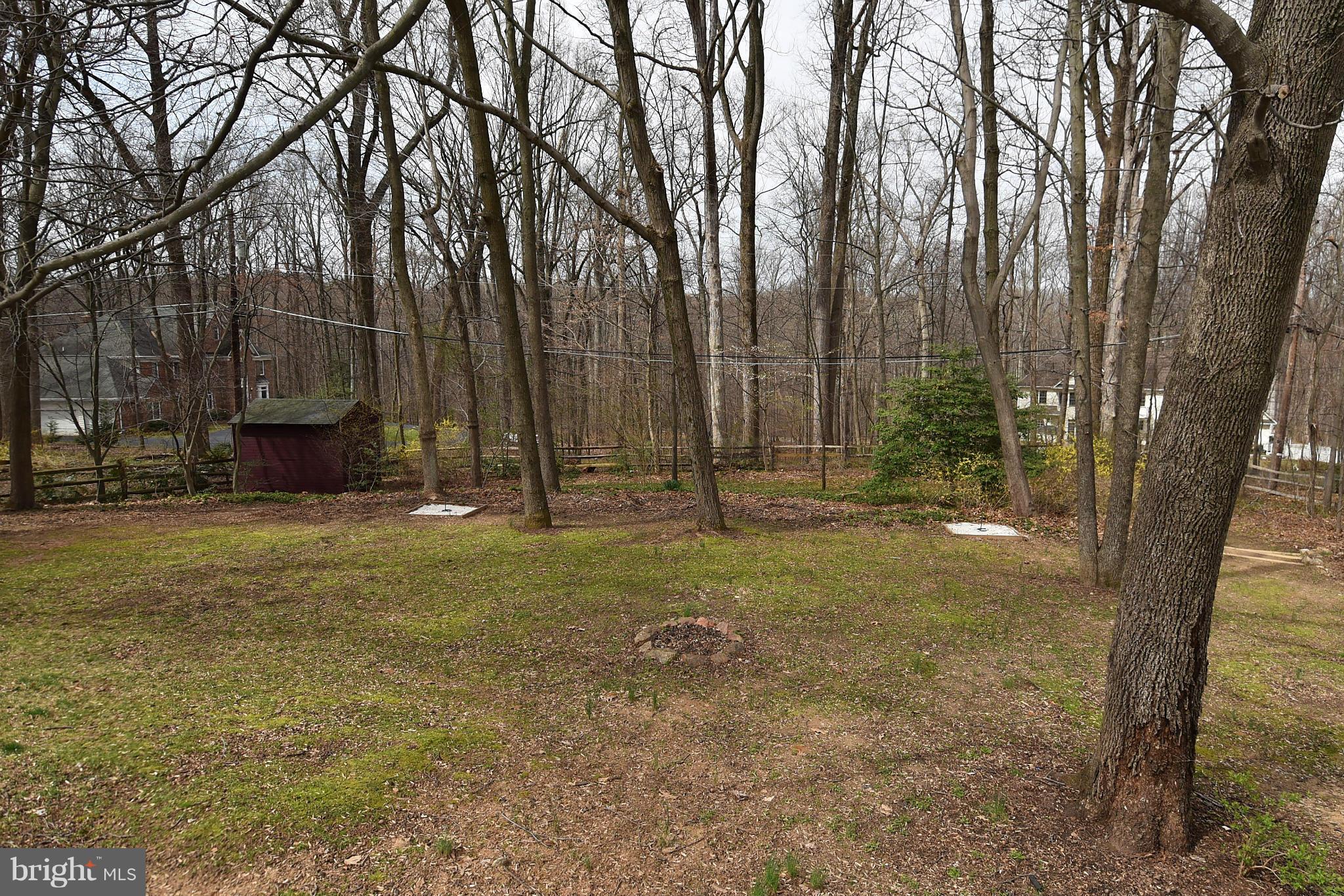 17939 Pond Road Ashton, MD 20861 - Photo 29 of 29 a view of backyard with tree
