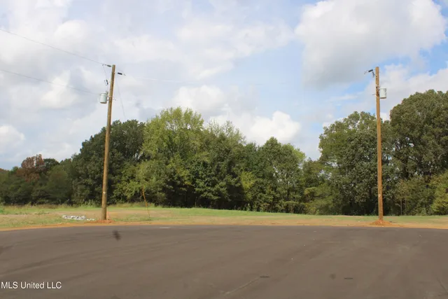 $110,000 | 3 Hickory Hollow Road, Coldwater, MS 38618