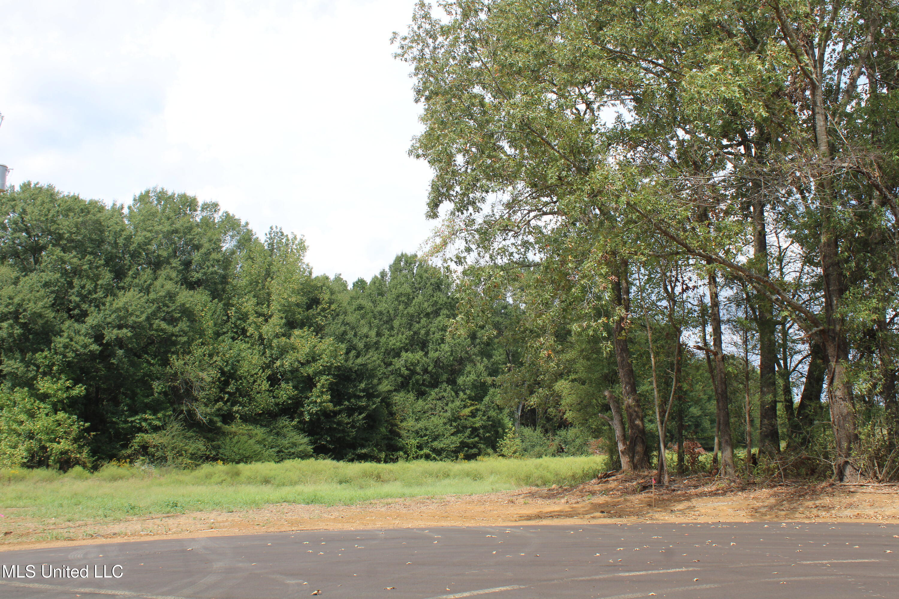 3 Hickory Hollow Road Coldwater, MS 38618 - Photo 67 of 70 IMG_6627