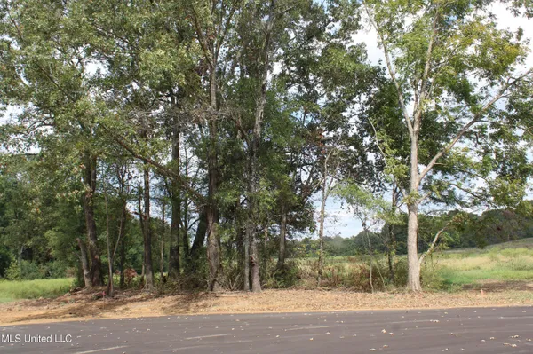 $110,000 | 3 Hickory Hollow Road, Coldwater, MS 38618