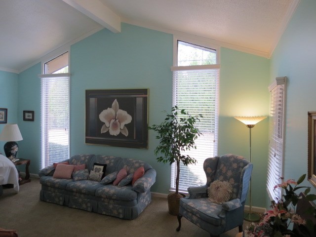 6974 Columbus Road Lizella, GA 31052 - Photo 3 of 19 a living room with furniture and a potted plant