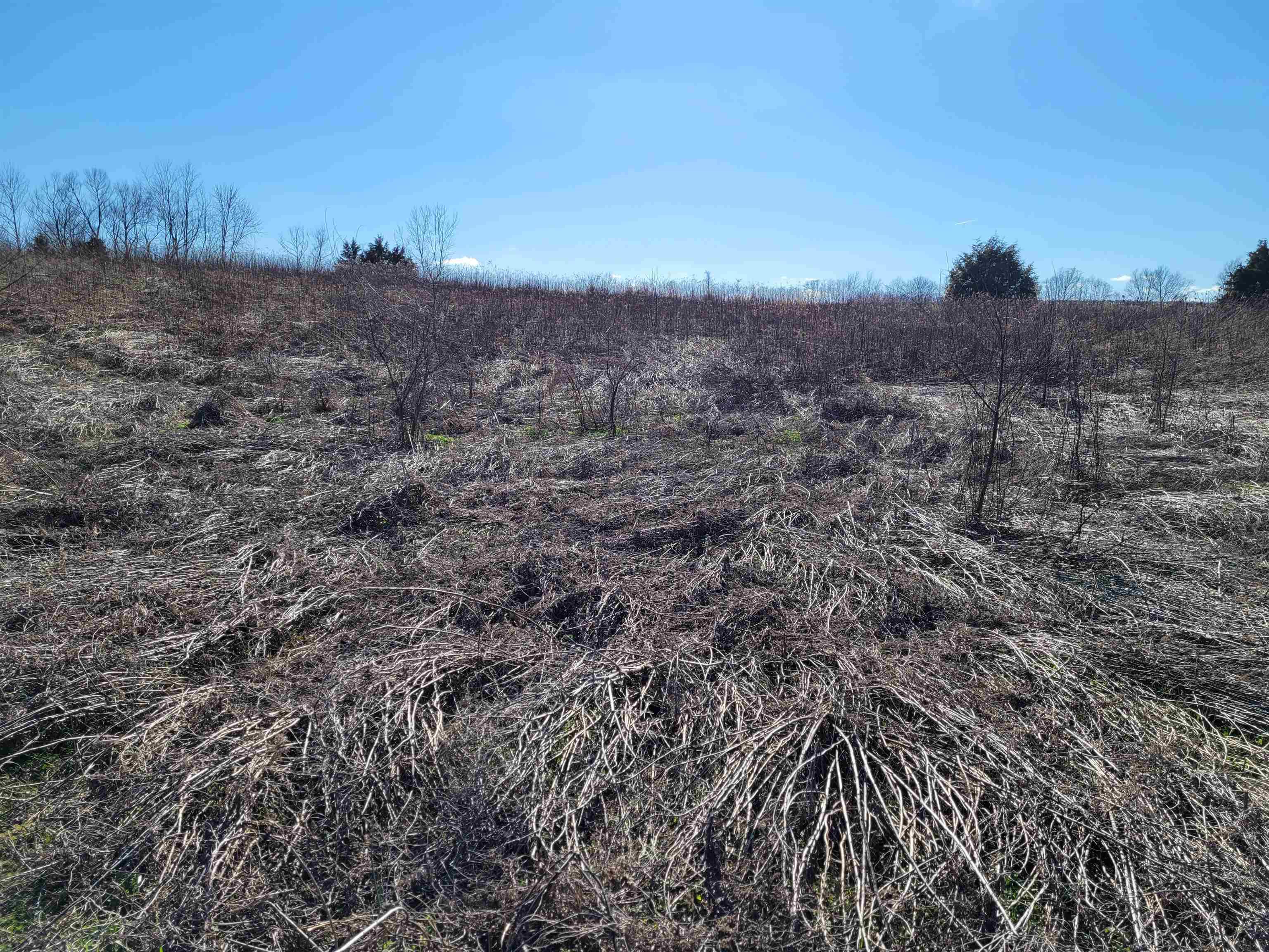 Tbd Grandma Brown Road Mitchell, IN 47446 - Photo 3 of 6