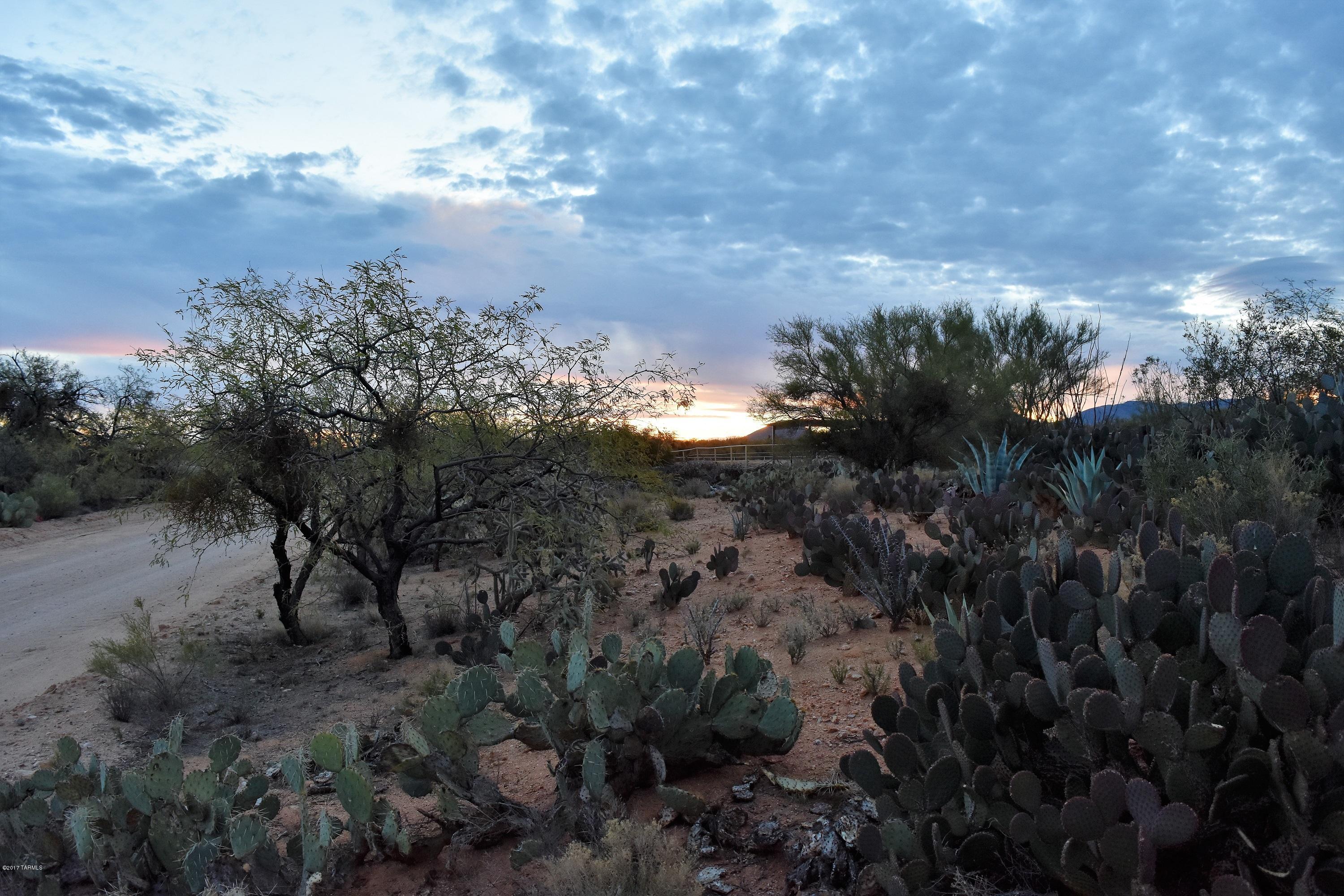15885 West Lynnette Road Tucson, AZ 85736 - Photo 23 of 23 Gallery Image 23