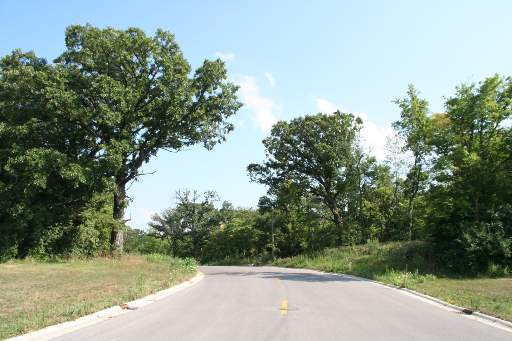 1233 Oak Grove Court Morris, IL 60450 - Photo 1 of 1 a view of a park