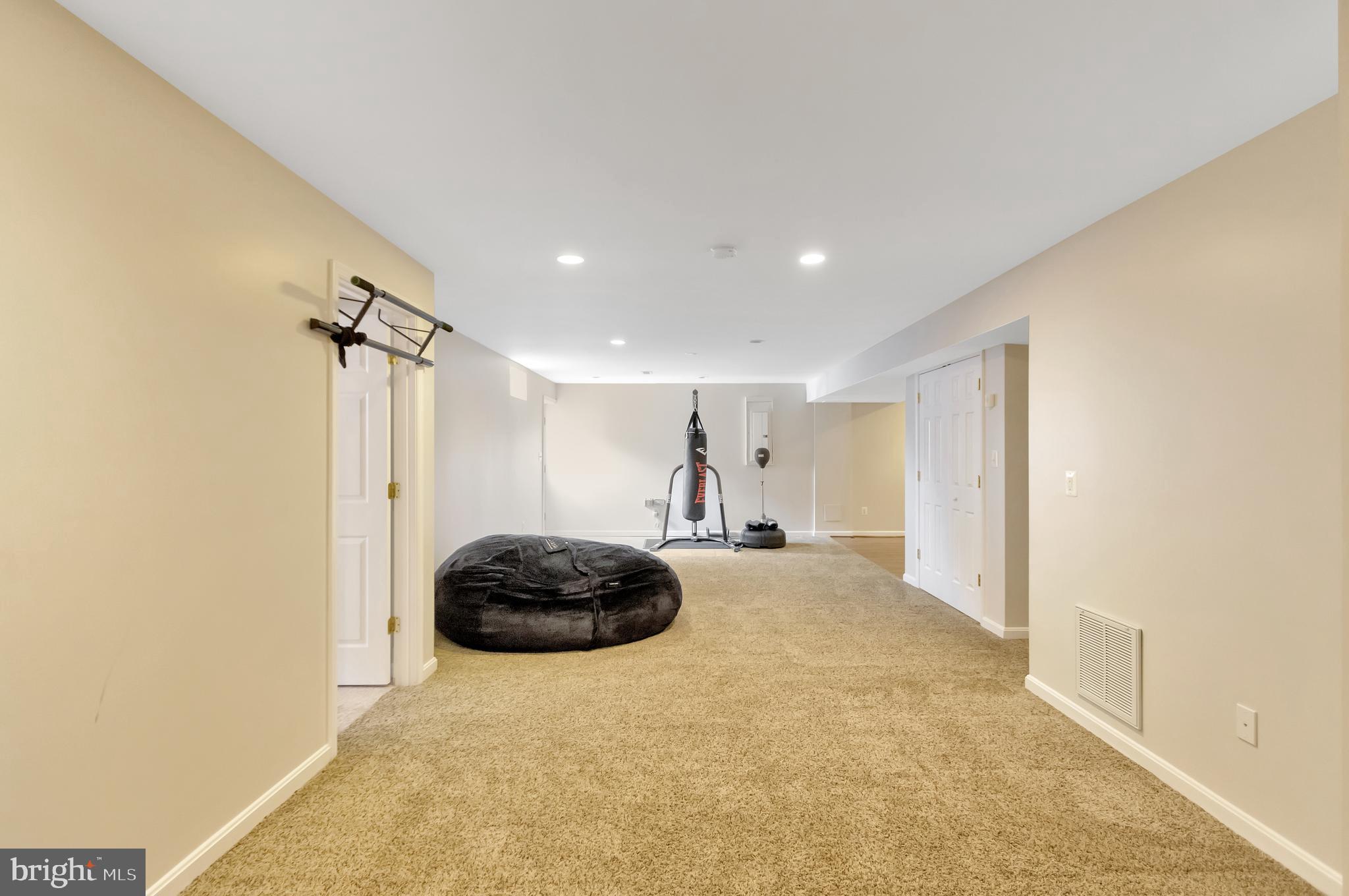 43364 Deepspring Court Ashburn, VA 20147 - Photo 45 of 59 Lower Level Bonus Room