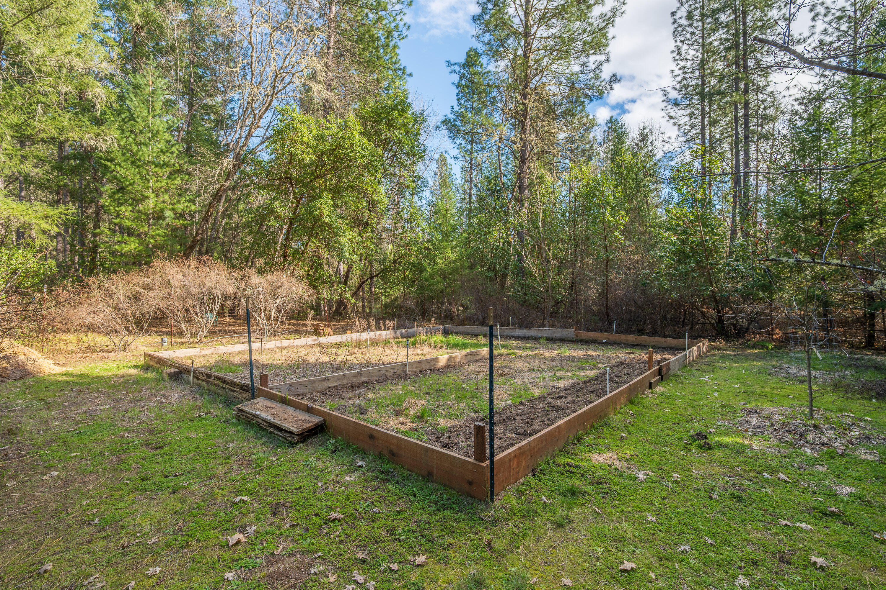 244 Riessen Road Grants Pass, OR 97526 - Photo 38 of 52 a view of a backyard with of trees