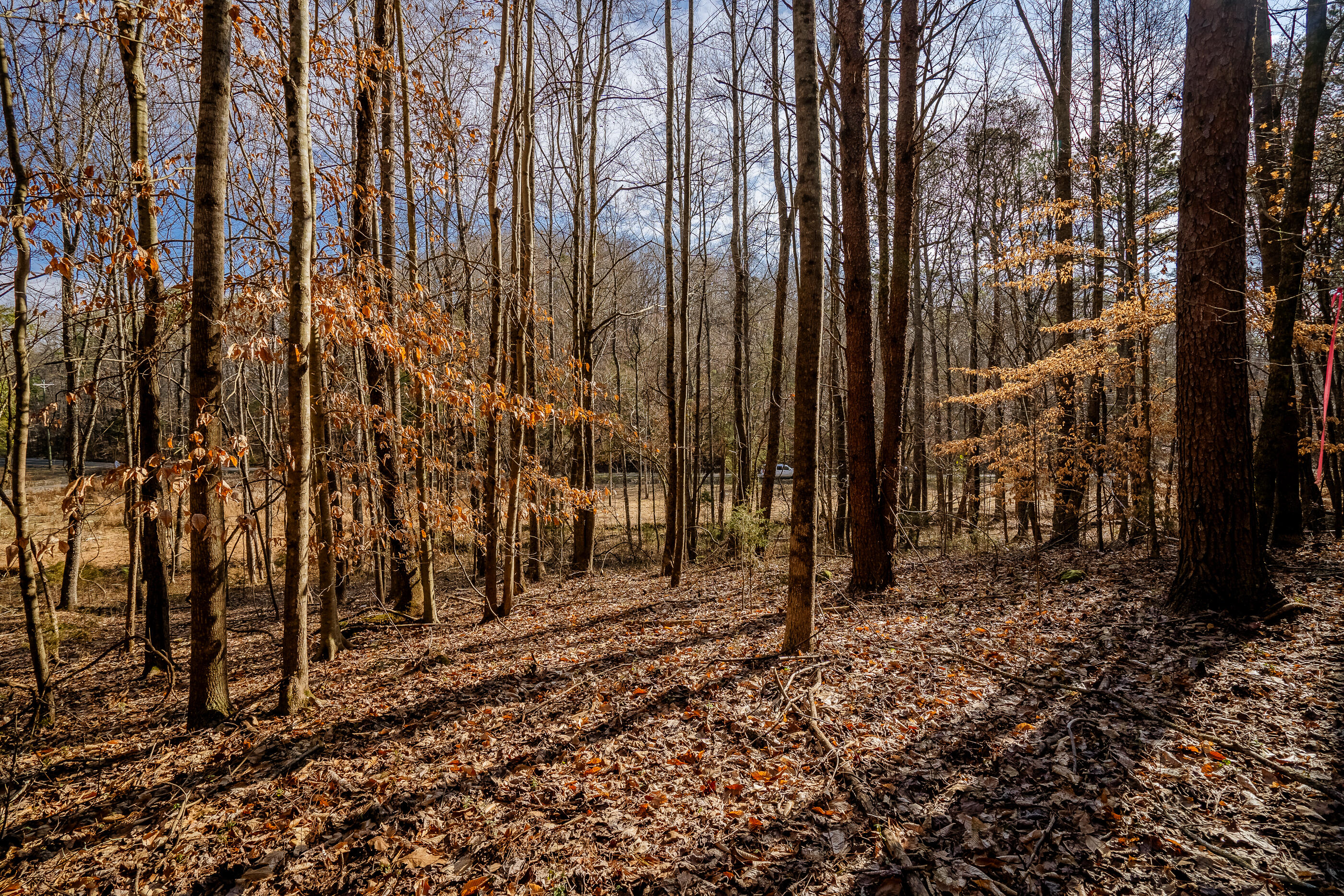42 Quarles Road Rocky Face, GA 30740 - Photo 13 of 28 QuarelsRdLot42-16