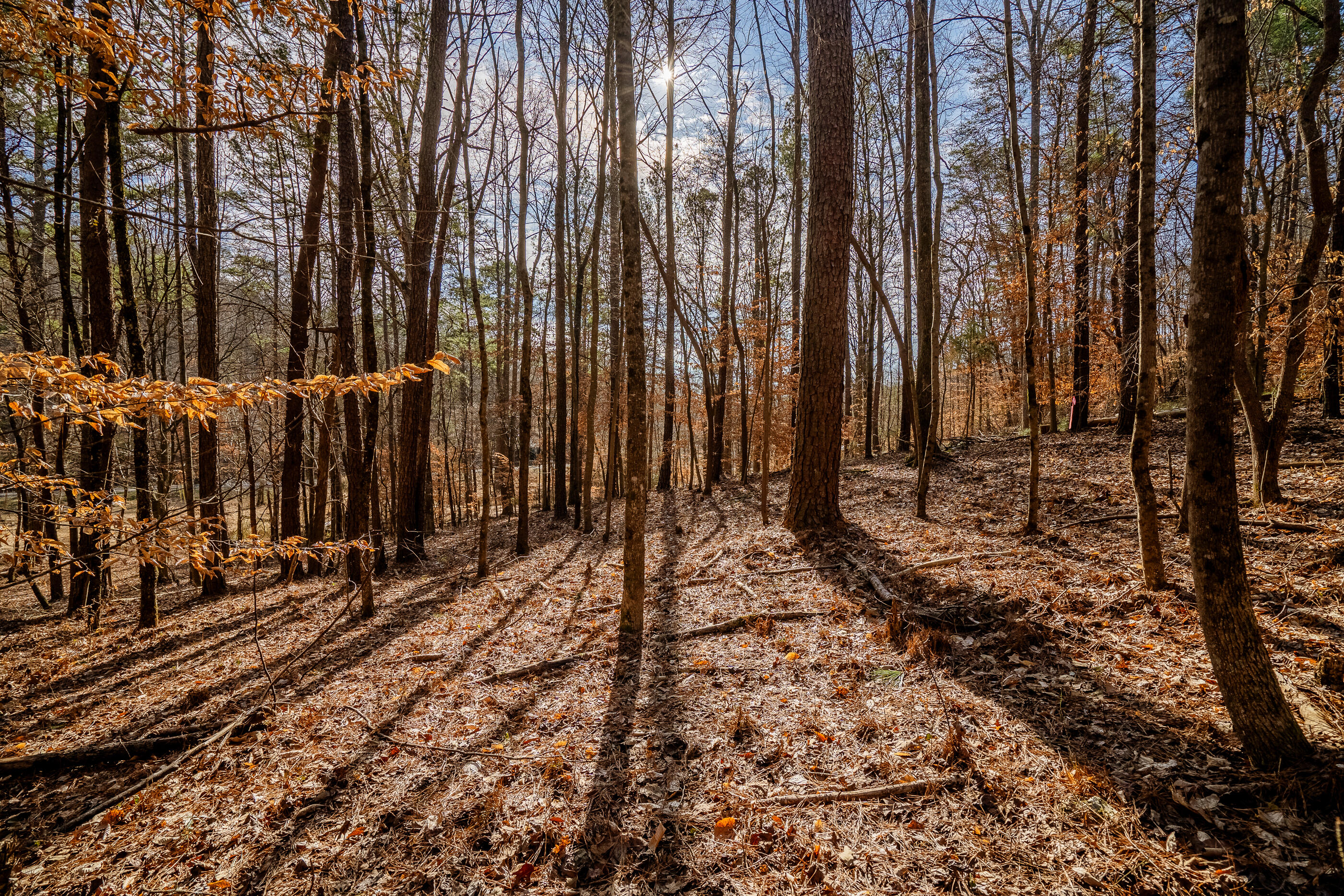 42 Quarles Road Rocky Face, GA 30740 - Photo 15 of 28 QuarelsRdLot42-14